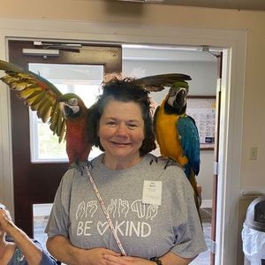 Meet your Posher, Ann